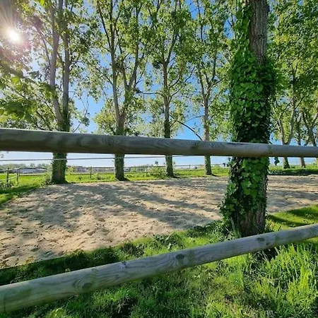 Holiday home La Luciole *