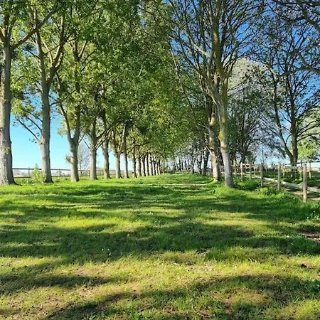 La Luciole