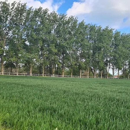 Holiday home La Luciole